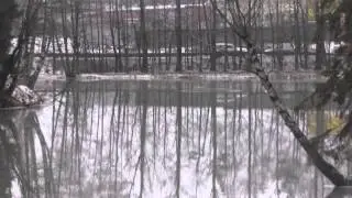 Дорога в Сертолово 2