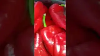 болгарский кетчуп на зиму семейный рецепт