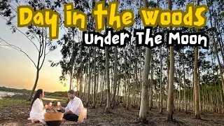 A Day Under the Tallest Trees | Under the Moon Travel Vlog