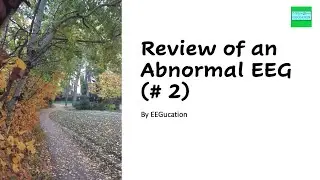 Interpretation of an Abnormal EEG (#2)