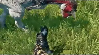 Doing the Cera right click tactic vs the old carno alt bite | The Isle evrima