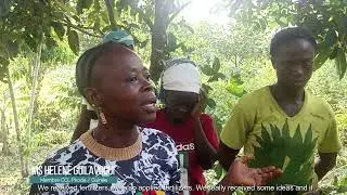 Mano River Union Ecosystem Conservation and International Water Resources Management (IWRM) Project