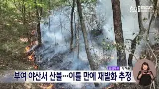 부여 야산서 산불..40여 분 만에 진화/대전MBC