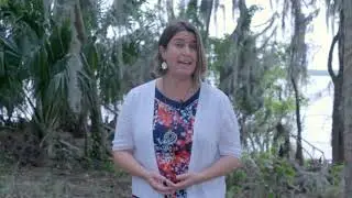Water Wisdom Episode 2: What is a Watershed?