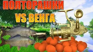 РУССКАЯ РЫБАЛКА 4 (РР4) - КАРПЫ ПОЛТОРАШКИ ПРОТИВ ВЕНГИ. ПЫТАЕМСЯ  ИЗНОСИТЬ ФРИК.