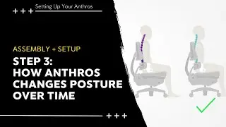 Setting Up Your Anthros: Step 3: How Anthros Changes Posture Over Time