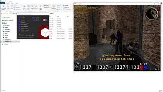 [QT Dev] - AssaultCube 1.3.0.2 trainer