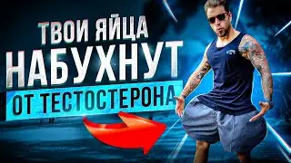 ТОП 5 НАТУРАЛЬНЫХ БУСТЕРОВ ТЕСТОСТЕРОНА В 2024 ГОДУ