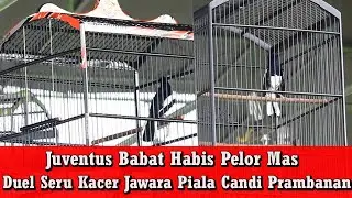 Piala Candi Prambanan - Kacer 150 Juta Keok Dihajar Lawan Sebelahnya