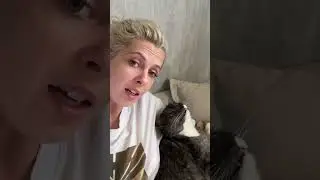 Рюк и я так каждый день болтаем 😄