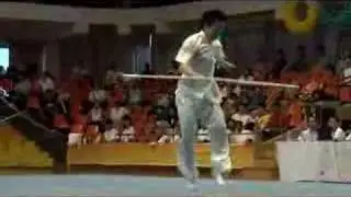 Wudi 2008 Nanning 1st Place Spear
