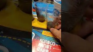 Выращиваем острый перец на подоконнике.