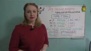 GENDER, NUMBER, CASE OF THE ADJECTIVE//CONNECTION WITH THE NOUN