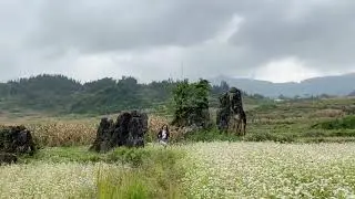 ngày 1 tháng 12, 2020