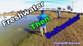 Speckled Trout, Redfish, Bass, and Sand Trout - What a great day fishing