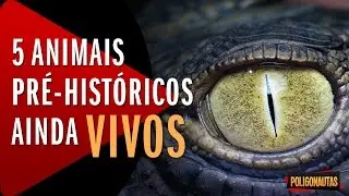 5 Animais Pré Históricos Ainda Vivos | 5 Vídeos Absurdos