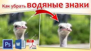 Как убрать водяные знаки с картинки в Photoshop, PDF, Microsoft Word