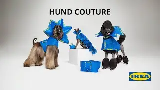 IKEA HUND COUTURE | Haute Couture Outfits for Dogs | IKEA Australia