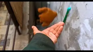 Squishy Monkey 😲