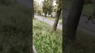 Через что я прохожу когда иду в школу!?