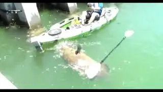 Мечта рыболова! A fisherman's dream!