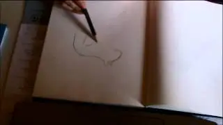 Drawing A Squirrel