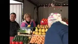 "МИМОХОДОМ", 29 июня 2009 год. Автор проекта О. Дзиов