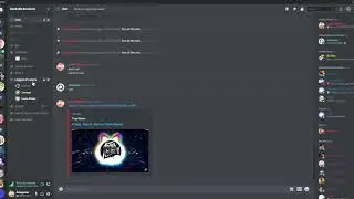 When you make everyone admin in the discord server