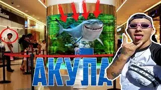 VLOG АКУЛЫ В ТОРГОВОМ ЦЕНТРЕ|КАРТИНГ ОТСТОЙ