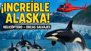 Vuelo en Helicóptero 🚁  y Observamos orcas salvajes | Juneau, Alaska 🇺🇸