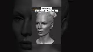 Understanding the Jawline - Part II