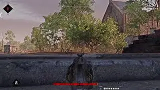 Hunt  Showdown lucky shot for me