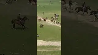 бузкаши навганда дийорполвон бо а спи прадо 🇹🇯🇺🇿🇰🇬🇰🇿👍