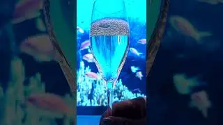 水中レストランを再現してみた📱🤯#Shorts