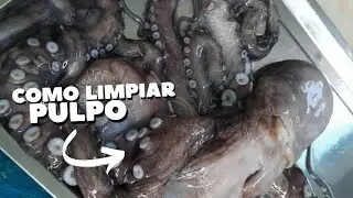 Como limpiar un pulpo #pulpo #fish #pescadofresco