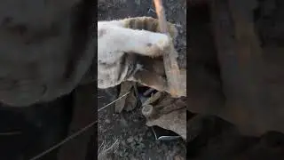 Потеря тракториста!