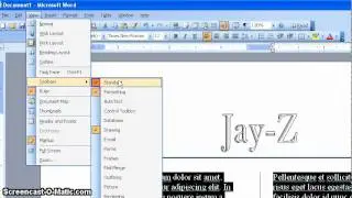 Changing Font Size and Style in MS Word