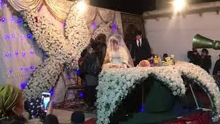 Туй дар Конибодом