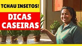 NÃO DESPERDICE DINHEIRO! Dicas naturais para você dar ADEUS aos INSETOS