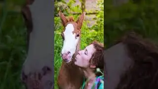 My Horse Has Tiny Ears