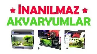 İthal Akvaryumlar - Sıradışı Akvaryum Modelleri