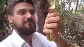 Monkey Cup