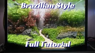 Simple Brazilian Style Aquascape. Full Tutorial.