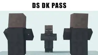 DS DK Pass (Mario Kart Meme)