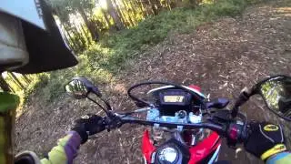 2013 CRF 250L shredding