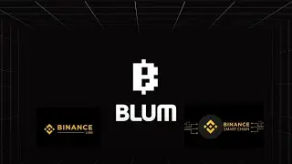 BLUM | Этот проект лучше Hamster Kombat. Успей зайти!