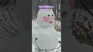 НЕ ТРОГАЙ, ГАДА, НЕ ТВОЕ 😁 
