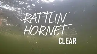 New Salmo Rattlin' Hornet 4.5 CLEAR Colors