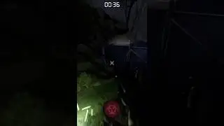 Убил читера в лесу ночью револьвером 