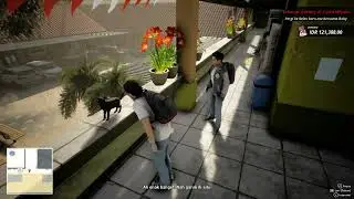Cat? R U OK? (Troublemaker)